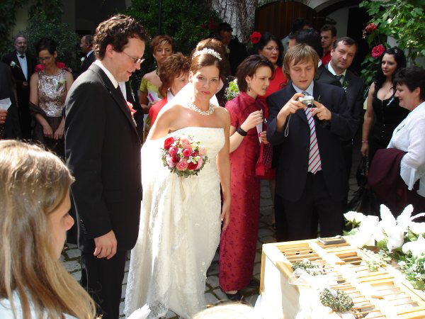 Loading Image